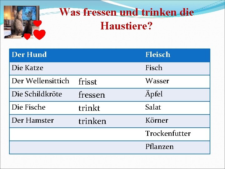 Was fressen und trinken die Haustiere? Der Hund Fleisch Die Katze Fisch Der Wellensittich