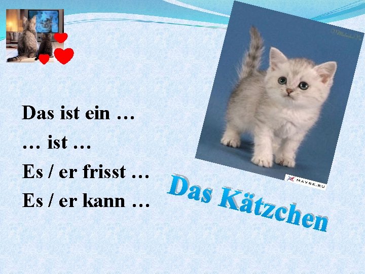 Das ist ein … … ist … Es / er frisst … Es /