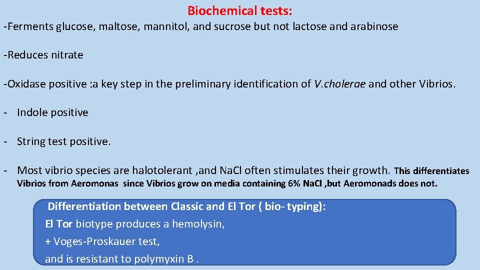 Biochemical tests: -Ferments glucose, maltose, mannitol, and sucrose but not lactose and arabinose -Reduces