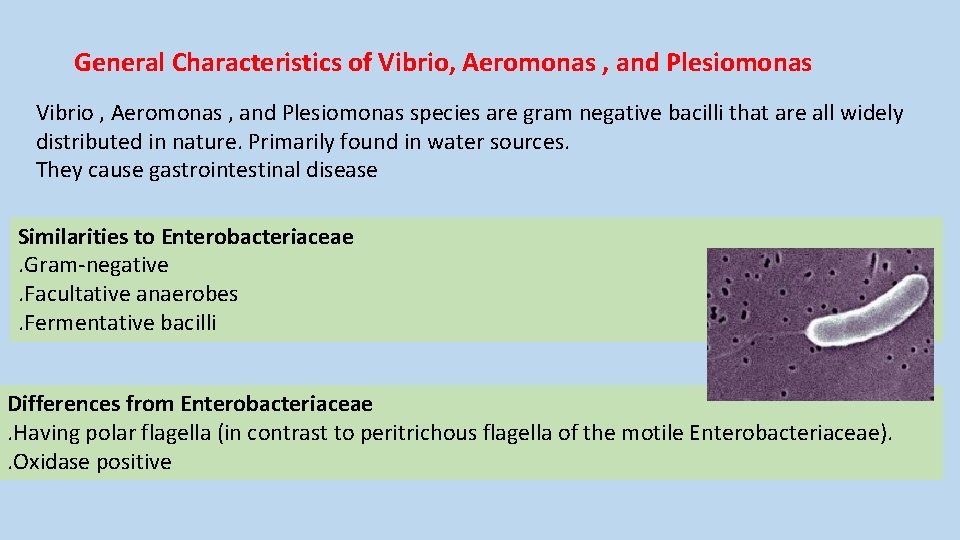 General Characteristics of Vibrio, Aeromonas , and Plesiomonas Vibrio , Aeromonas , and Plesiomonas