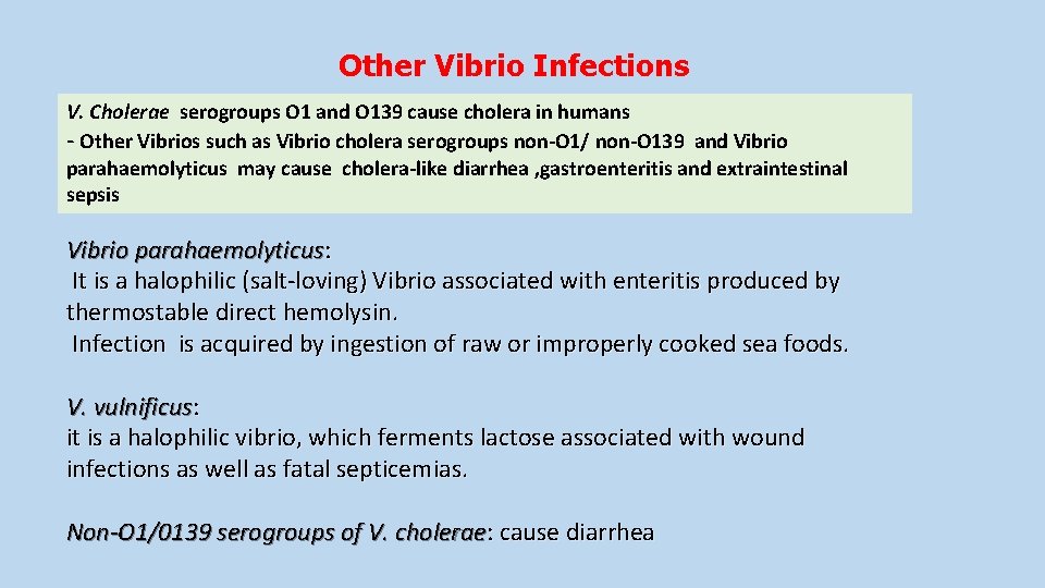 Other Vibrio Infections V. Cholerae serogroups O 1 and O 139 cause cholera in