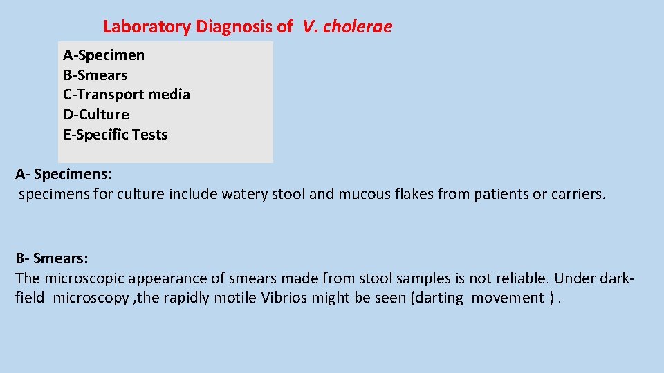 Laboratory Diagnosis of V. cholerae A-Specimen B-Smears C-Transport media D-Culture E-Specific Tests A- Specimens: