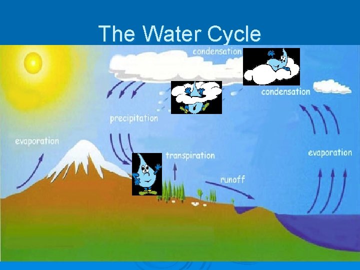 The Water Cycle 