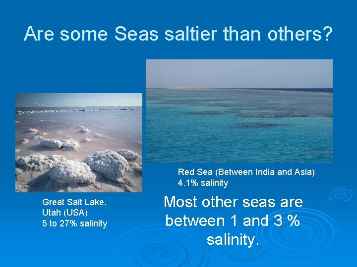 Are some Seas saltier than others? Red Sea (Between India and Asia) 4. 1%