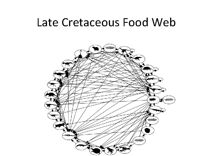Late Cretaceous Food Web Late Cretaceous Food Web