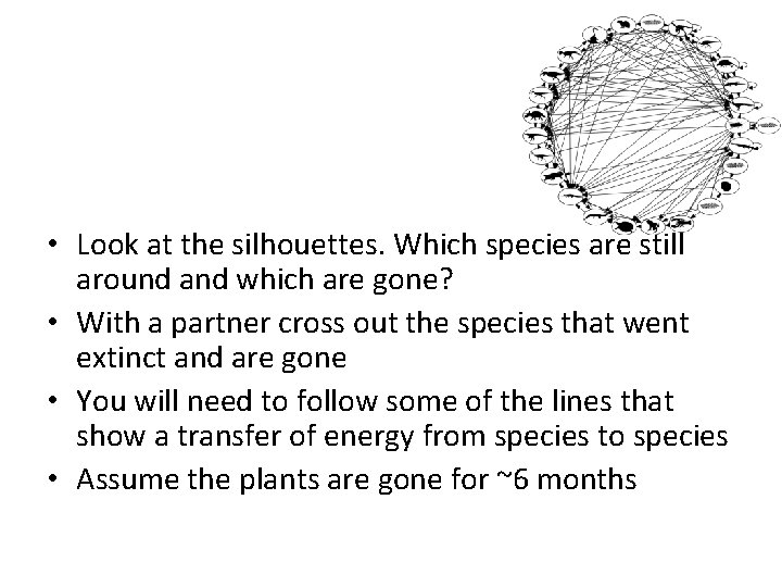 • Look at the silhouettes. Which species are still around and which are • Look at the silhouettes. Which species are still around and which are