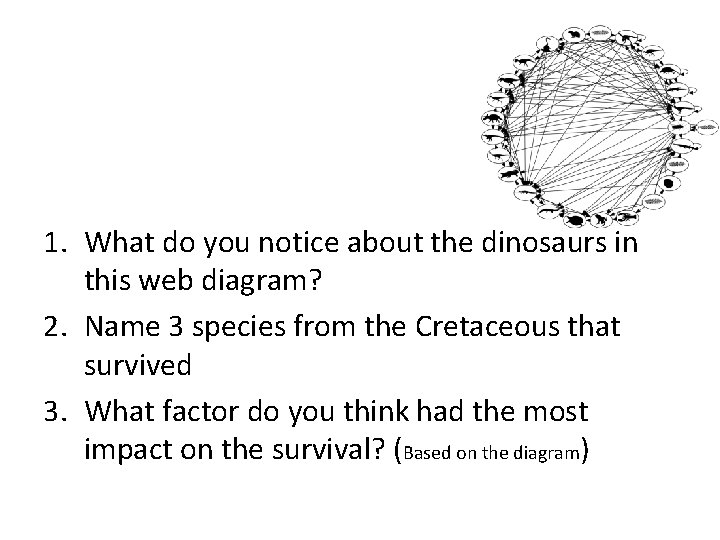 1. What do you notice about the dinosaurs in this web diagram? 2. Name 1. What do you notice about the dinosaurs in this web diagram? 2. Name