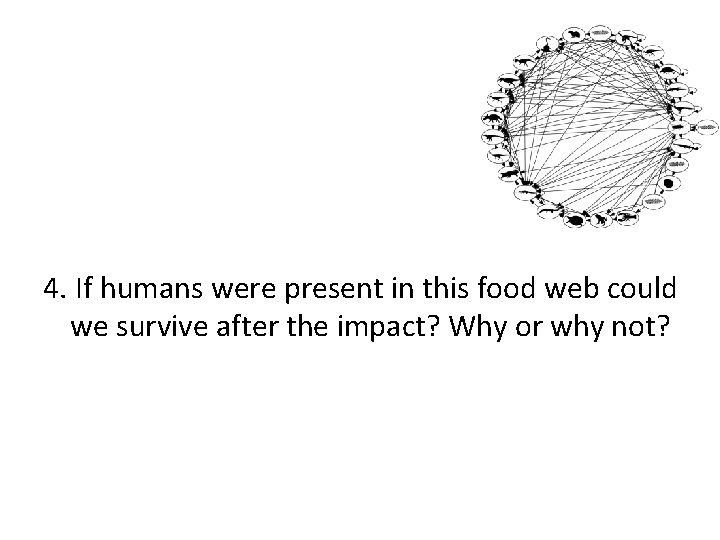4. If humans were present in this food web could we survive after the 4. If humans were present in this food web could we survive after the