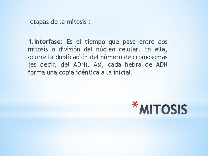 etapas de la mitosis : 1. Interfase: Es el tiempo que pasa entre dos