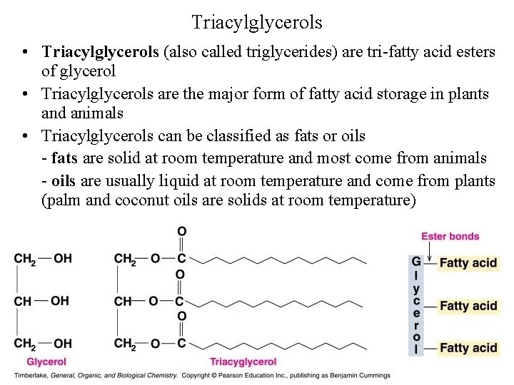 Triacylglycerols • Triacylglycerols (also called triglycerides) are tri-fatty acid esters of glycerol • Triacylglycerols