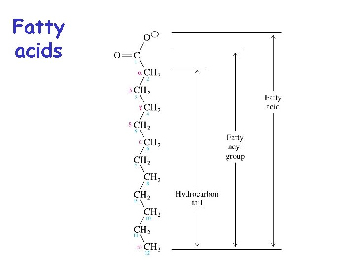 Fatty acids 