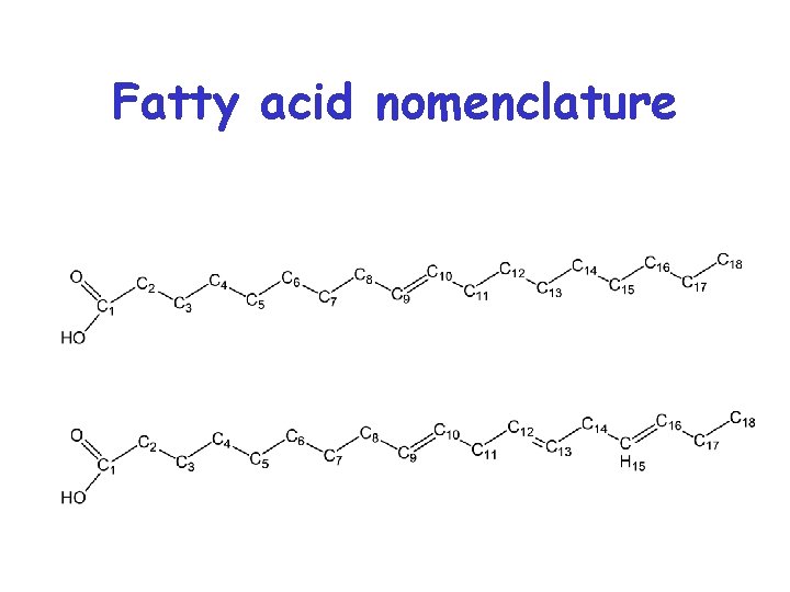 Fatty acid nomenclature 