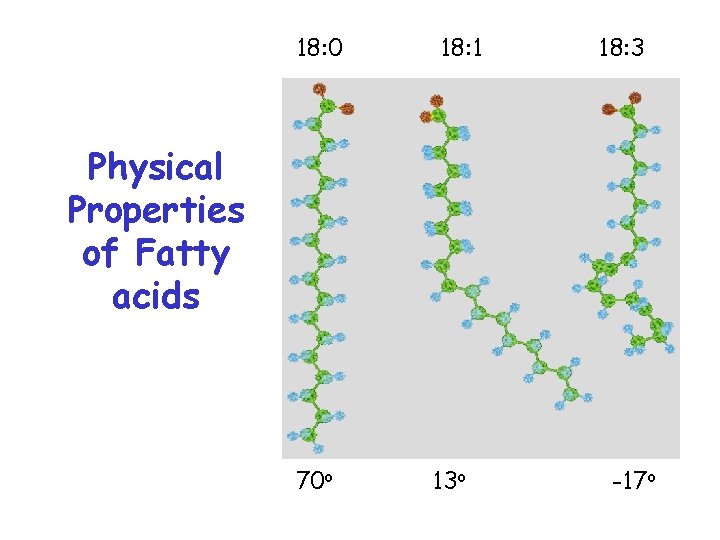 18: 0 18: 1 18: 3 Physical Properties of Fatty acids 70 o 13