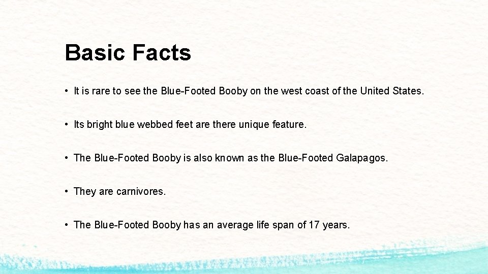 Basic Facts • It is rare to see the Blue-Footed Booby on the west