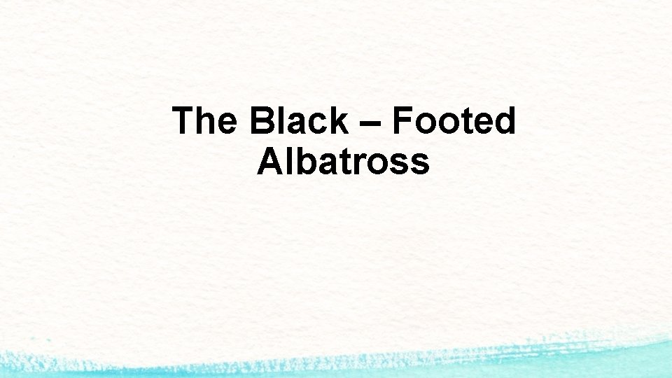 The Black – Footed Albatross 