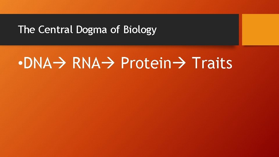 The Central Dogma of Biology • DNA RNA Protein Traits 