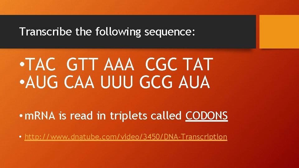 Transcribe the following sequence: • TAC GTT AAA CGC TAT • AUG CAA UUU