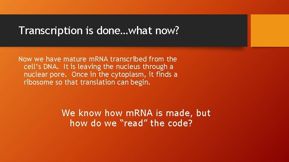 Transcription is done…what now? Now we have mature m. RNA transcribed from the cell’s