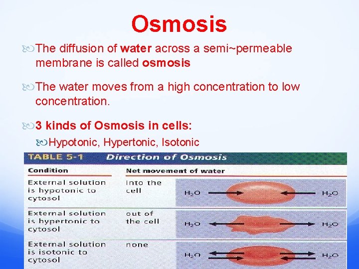 Osmosis The diffusion of water across a semi~permeable membrane is called osmosis The water