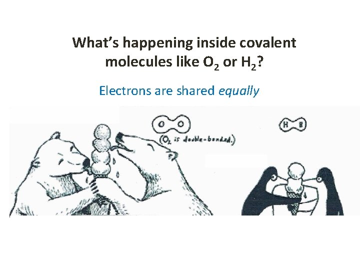 What’s happening inside covalent molecules like O 2 or H 2? Electrons are shared