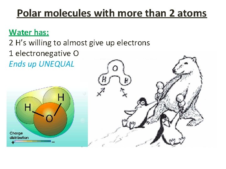 Polar molecules with more than 2 atoms Water has: 2 H’s willing to almost