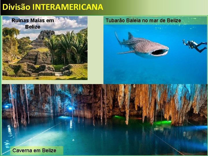 Divisão INTERAMERICANA Ruinas Maias em Belize Caverna em Belize Tubarão Baleia no mar de