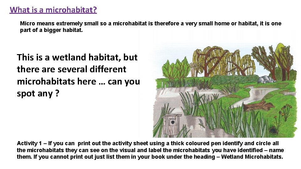 What is a microhabitat? Micro means extremely small so a microhabitat is therefore a