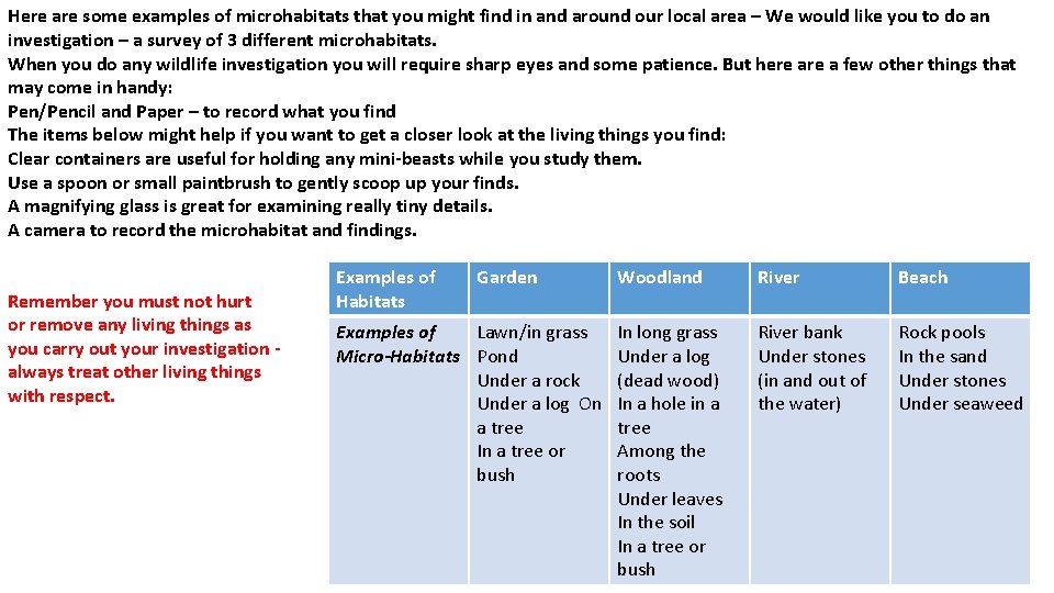 Here are some examples of microhabitats that you might find in and around our