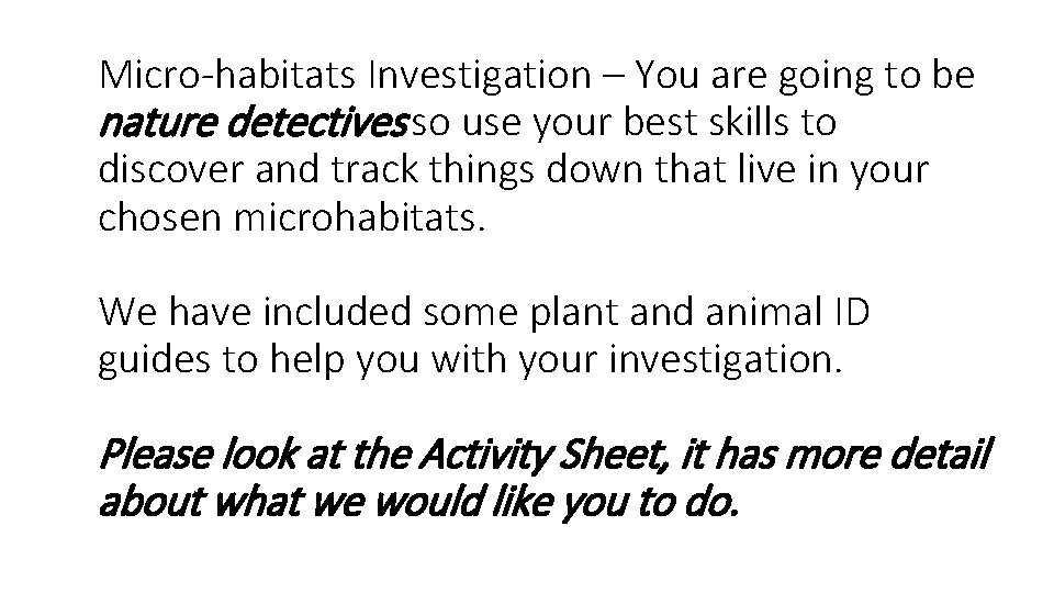 Micro-habitats Investigation – You are going to be nature detectives so use your best