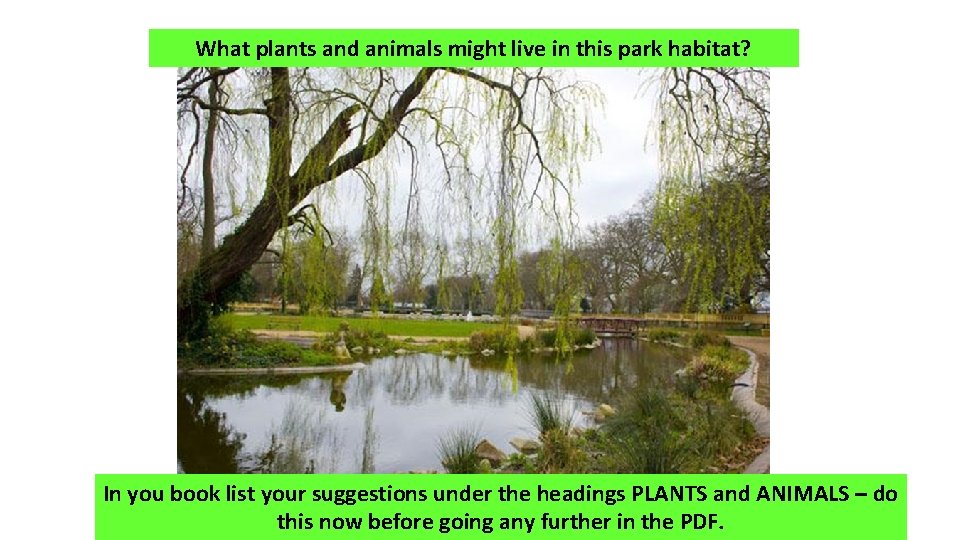What plants and animals might live in this park habitat? In you book list
