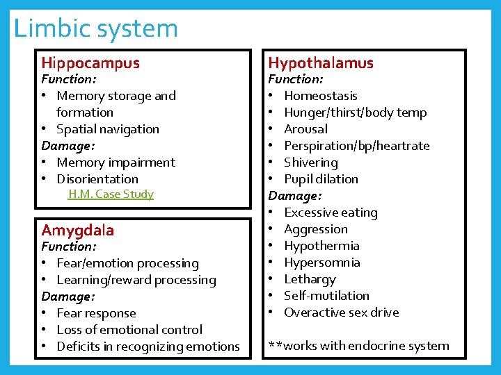 Limbic system Hippocampus Function: • Memory storage and formation • Spatial navigation Damage: •