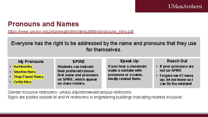 Pronouns and Names https: //www. umass. edu/stonewall/sites/default/files/pronouns_intro. pdf Everyone has the right to be