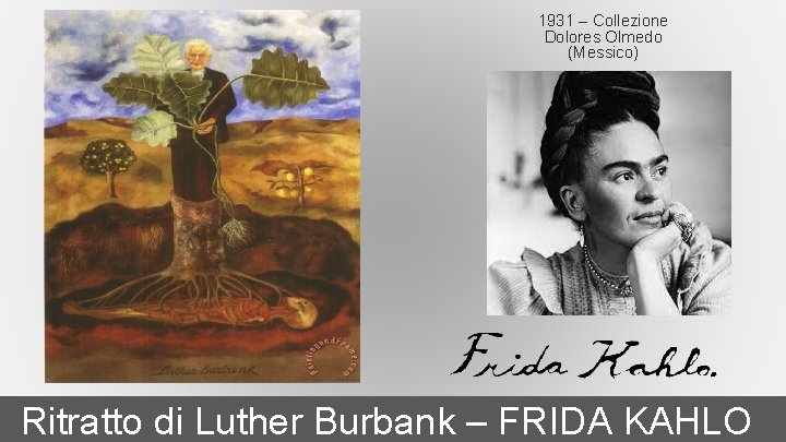 1931 – Collezione Dolores Olmedo (Messico) Ritratto di Luther Burbank – FRIDA KAHLO 