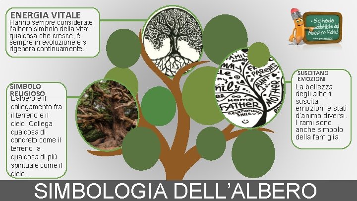 ENERGIA VITALE Hanno sempre considerate l’albero simbolo della vita: qualcosa che cresce, è sempre