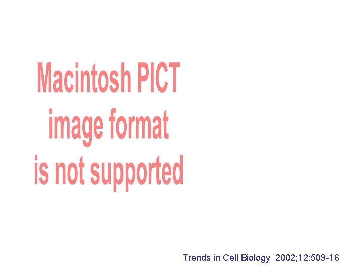 Trends in Cell Biology 2002; 12: 509 -16 