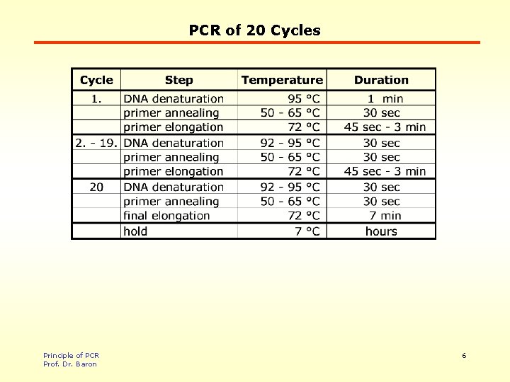 PCR of 20 Cycles Principle of PCR Prof. Dr. Baron 6 