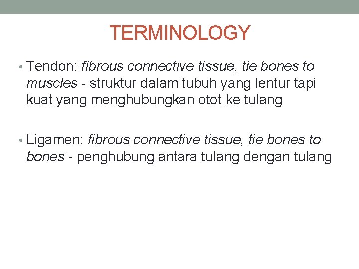 TERMINOLOGY • Tendon: fibrous connective tissue, tie bones to muscles - struktur dalam tubuh