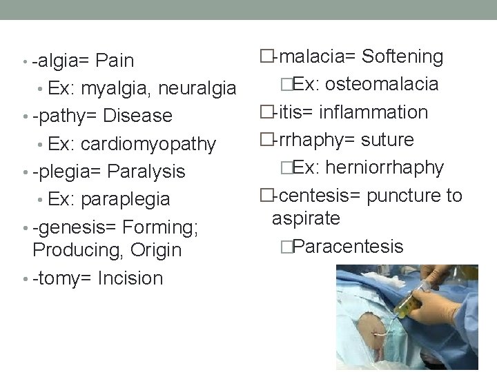  • -algia= Pain • Ex: myalgia, neuralgia • -pathy= Disease • Ex: cardiomyopathy