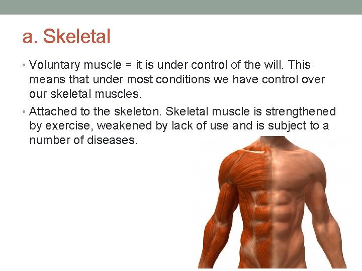 a. Skeletal • Voluntary muscle = it is under control of the will. This