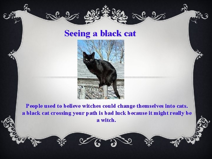 Seeing a black cat People used to believe witches could change themselves into cats.