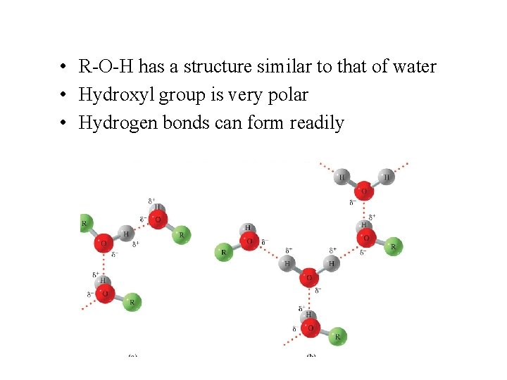  • R-O-H has a structure similar to that of water • Hydroxyl group