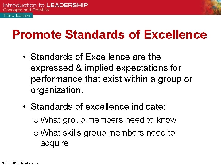 Promote Standards of Excellence • Standards of Excellence are the expressed & implied expectations