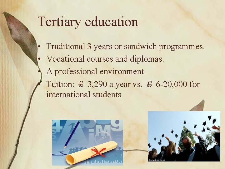 Tertiary education • • Traditional 3 years or sandwich programmes. Vocational courses and diplomas.