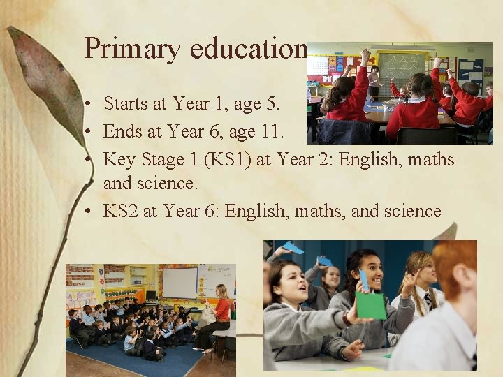 Primary education • Starts at Year 1, age 5. • Ends at Year 6,