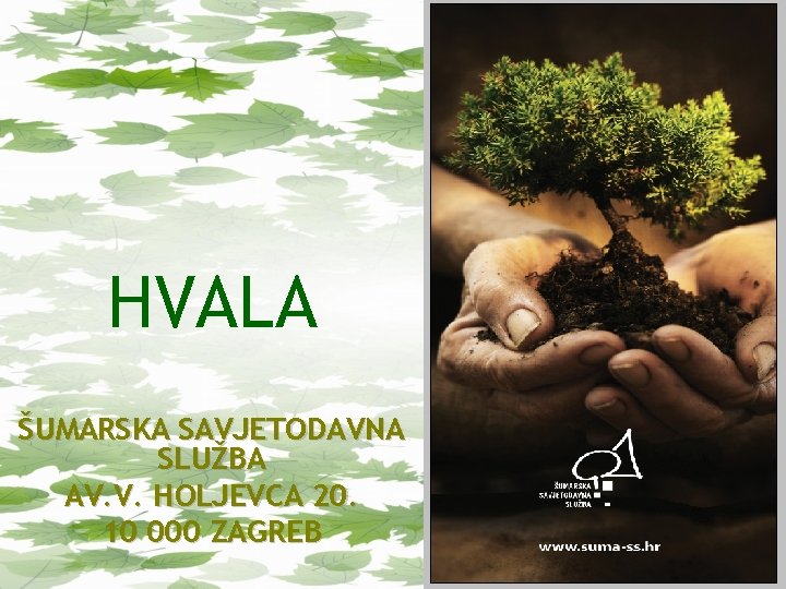 HVALA ŠUMARSKA SAVJETODAVNA SLUŽBA AV. V. HOLJEVCA 20. 10 000 ZAGREB 