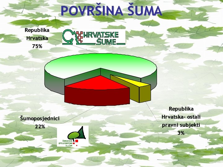 POVRŠINA ŠUMA 