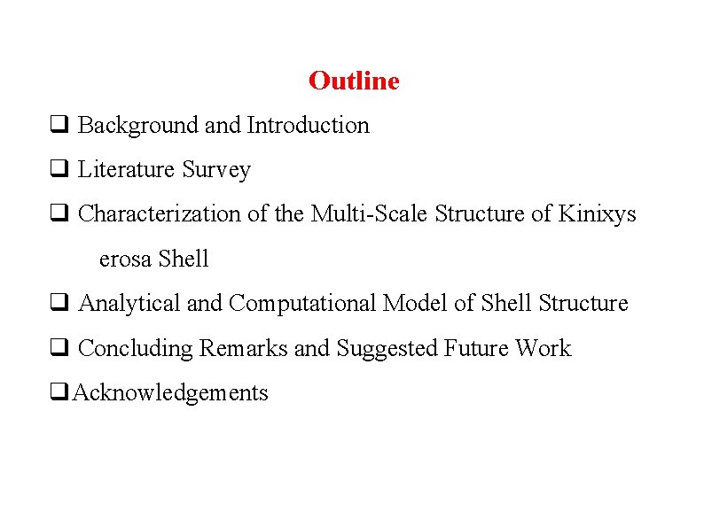 Outline Background and Introduction Literature Survey Characterization of the Multi-Scale Structure of Kinixys erosa