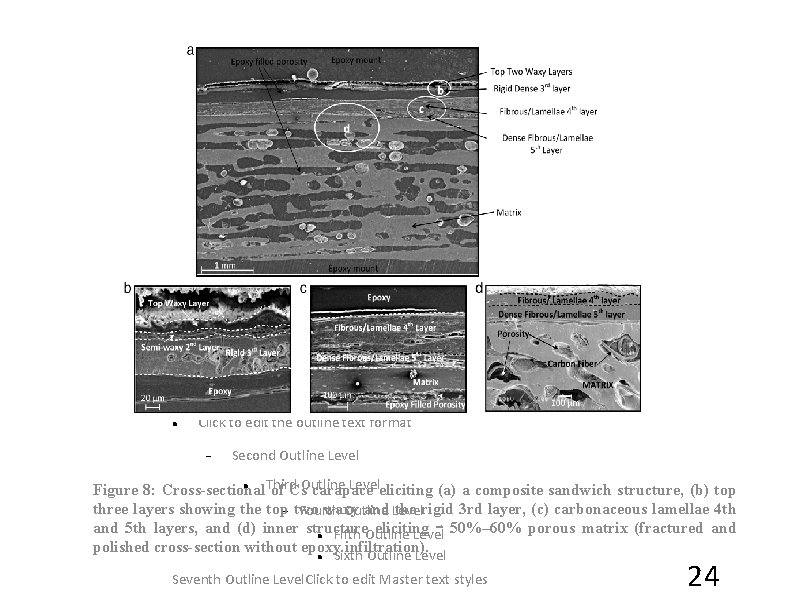  Click to edit the outline text format Second Outline Level Third Leveleliciting (a)