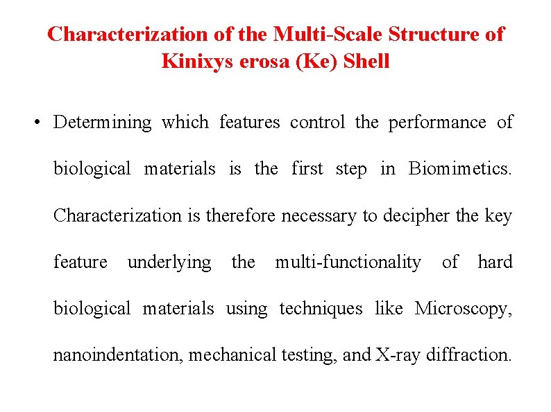 Characterization of the Multi-Scale Structure of Kinixys erosa (Ke) Shell • Determining which features