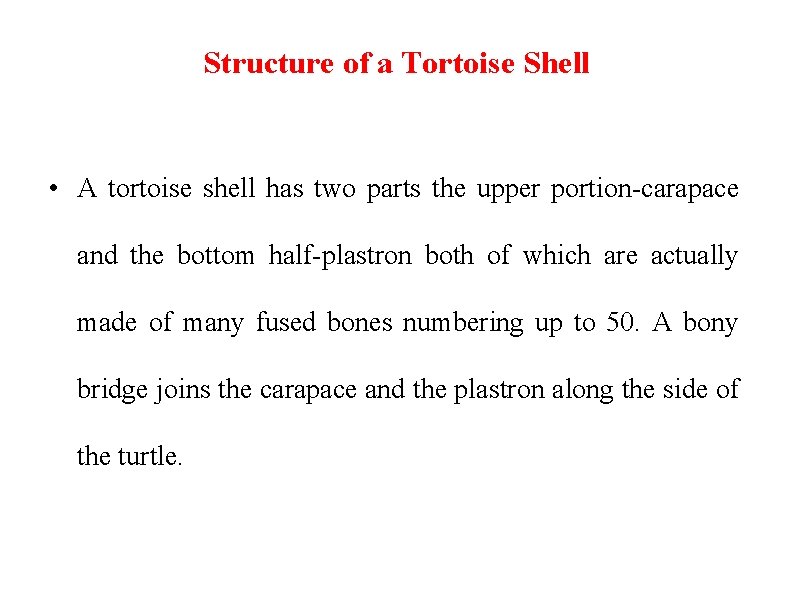 Structure of a Tortoise Shell • A tortoise shell has two parts the upper